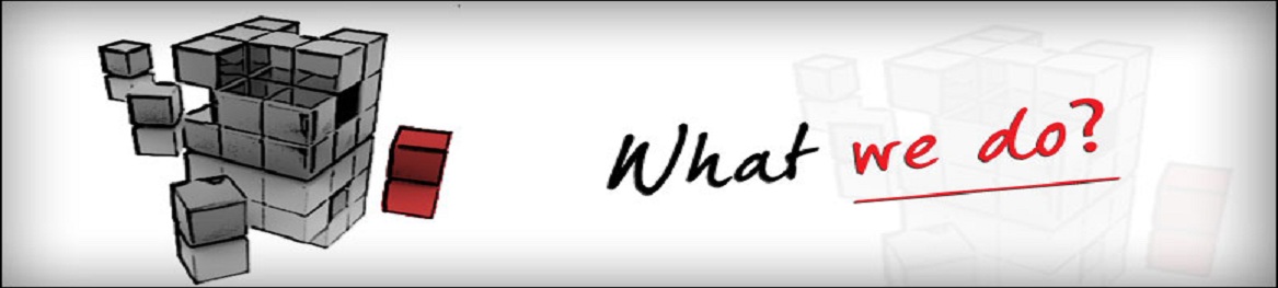 what-we-do